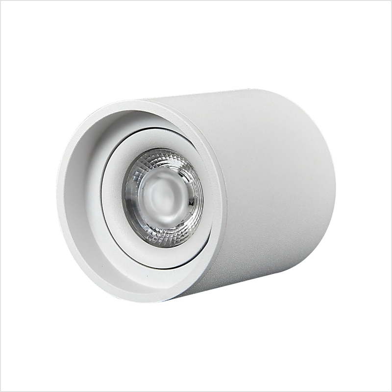Surface Mounted Down Light 10W